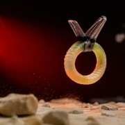 Robot morbido: salta da solo usando soltanto luce infrarossa