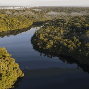 Per salvare l?Amazonia si inizia dalle città: ora entra in gioco l?AI