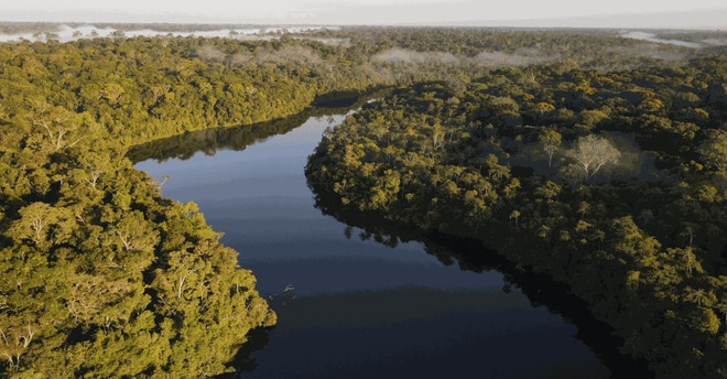 Anteprima: Per salvare lAmazonia si inizia dalle città: ora entra in gioco lAI