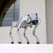 Il robot che imita i cani: decide da solo quando correre e saltare