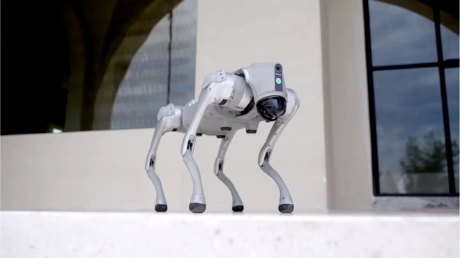 Anteprima: Il robot che imita i cani: decide da solo quando correre e saltare