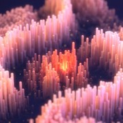 Google crea l?atlante delle mutazioni del DNA umano
