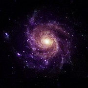Chandra trova 84 oggetti misteriosi: potrebbero risolvere due enigmi
