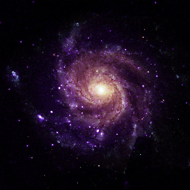Anteprima: Chandra trova 84 oggetti misteriosi: potrebbero risolvere due enigmi