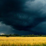 Arriva Austen, prima tempesta di stagione: in UK caldo anomalo, poi maltempo