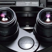 Nikon, il video del vincitore di un concorso è stato ritoccato con AI: premio re