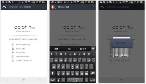 Dolphin Zero il nuovo browser per una navigazione completamente