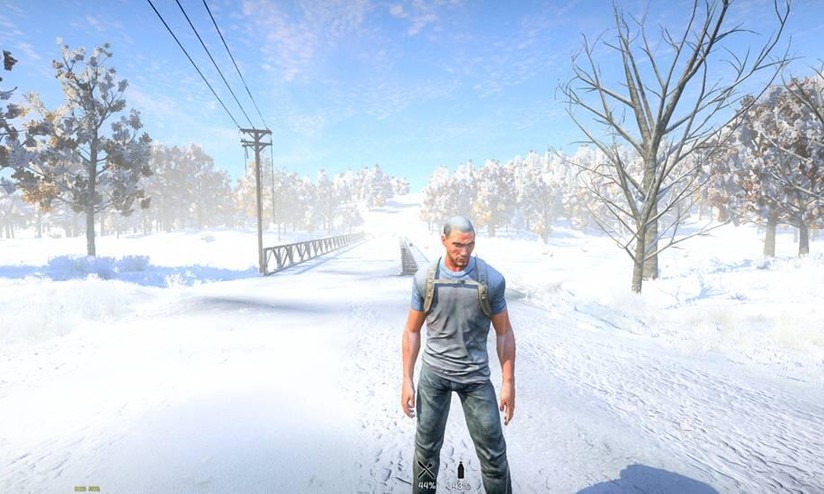 H1z1 Alcune Immagini Ci Mostrano Paesaggi Innevati Hdblog It