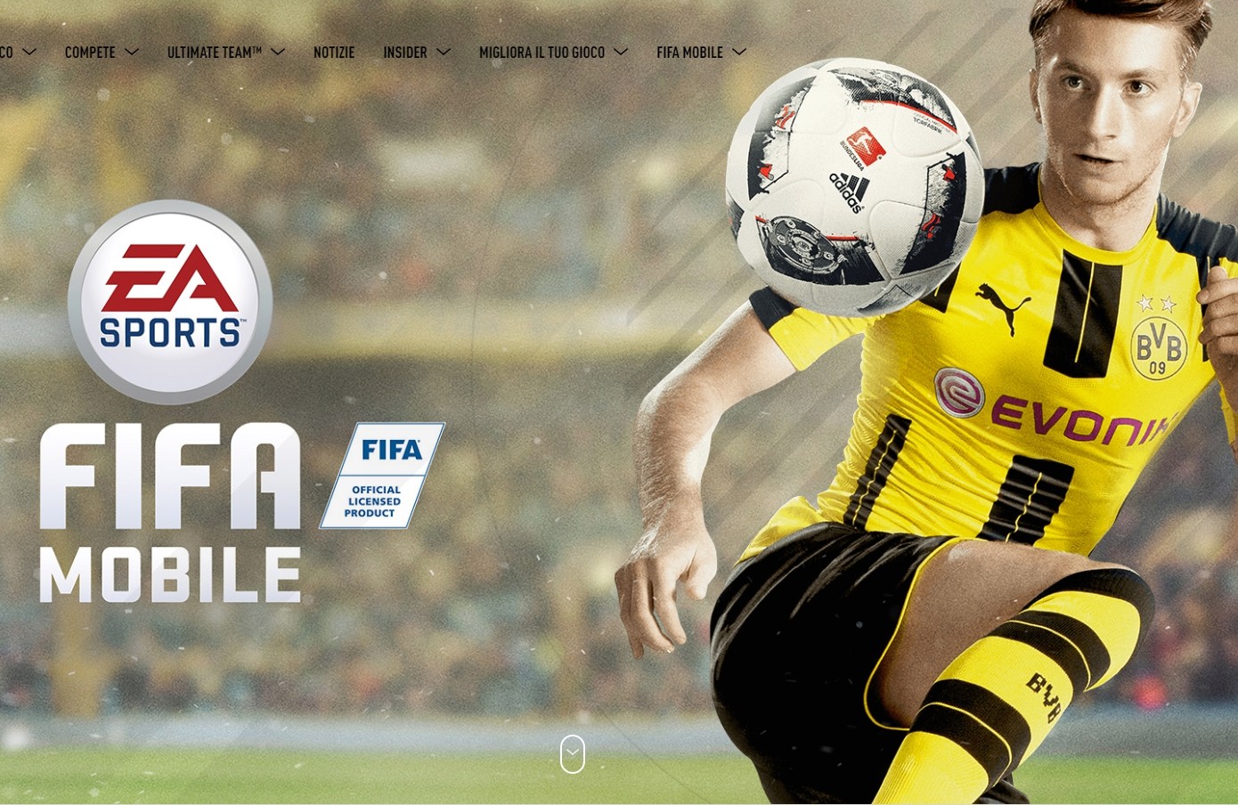 FIFA 23: Companion App gratis su iOS e Android, ecco come scaricarla