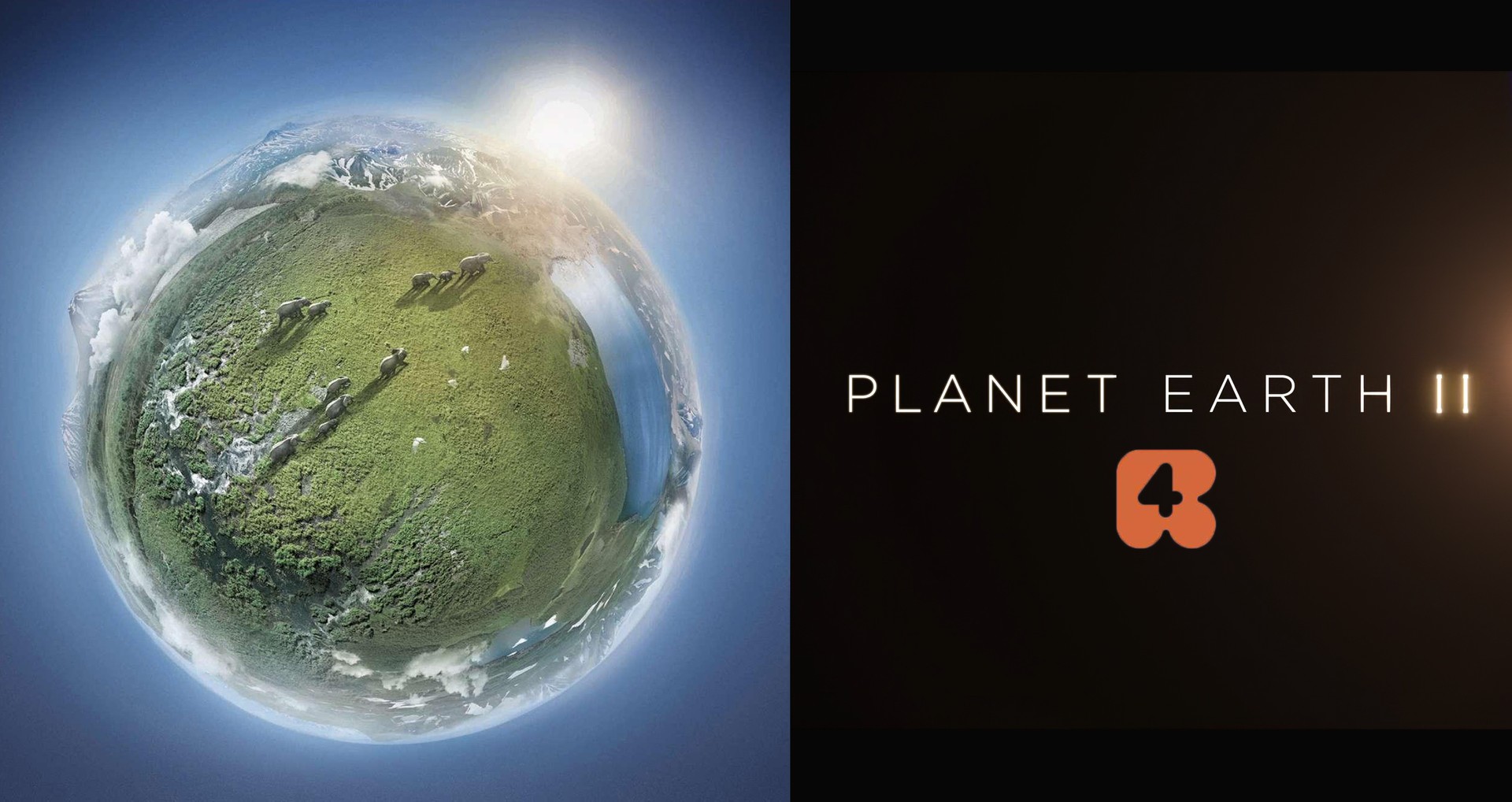 Planet Earth II/ foto