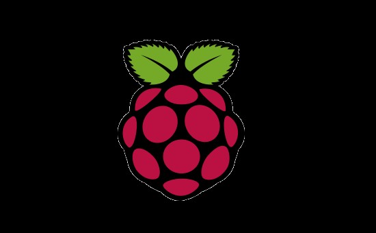 Kit componenti elettronici per Raspberry PI - KUBII