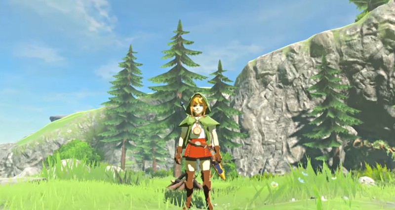 Zelda Breath Of The Wild Linkle Mod Switch