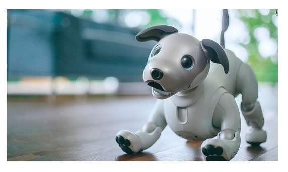 Sony Aibo, il cane robot in vendita da settembre in USA a 2899 $ 