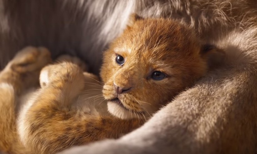 Il Re Leone, Disney pubblica il primo trailer del remake 