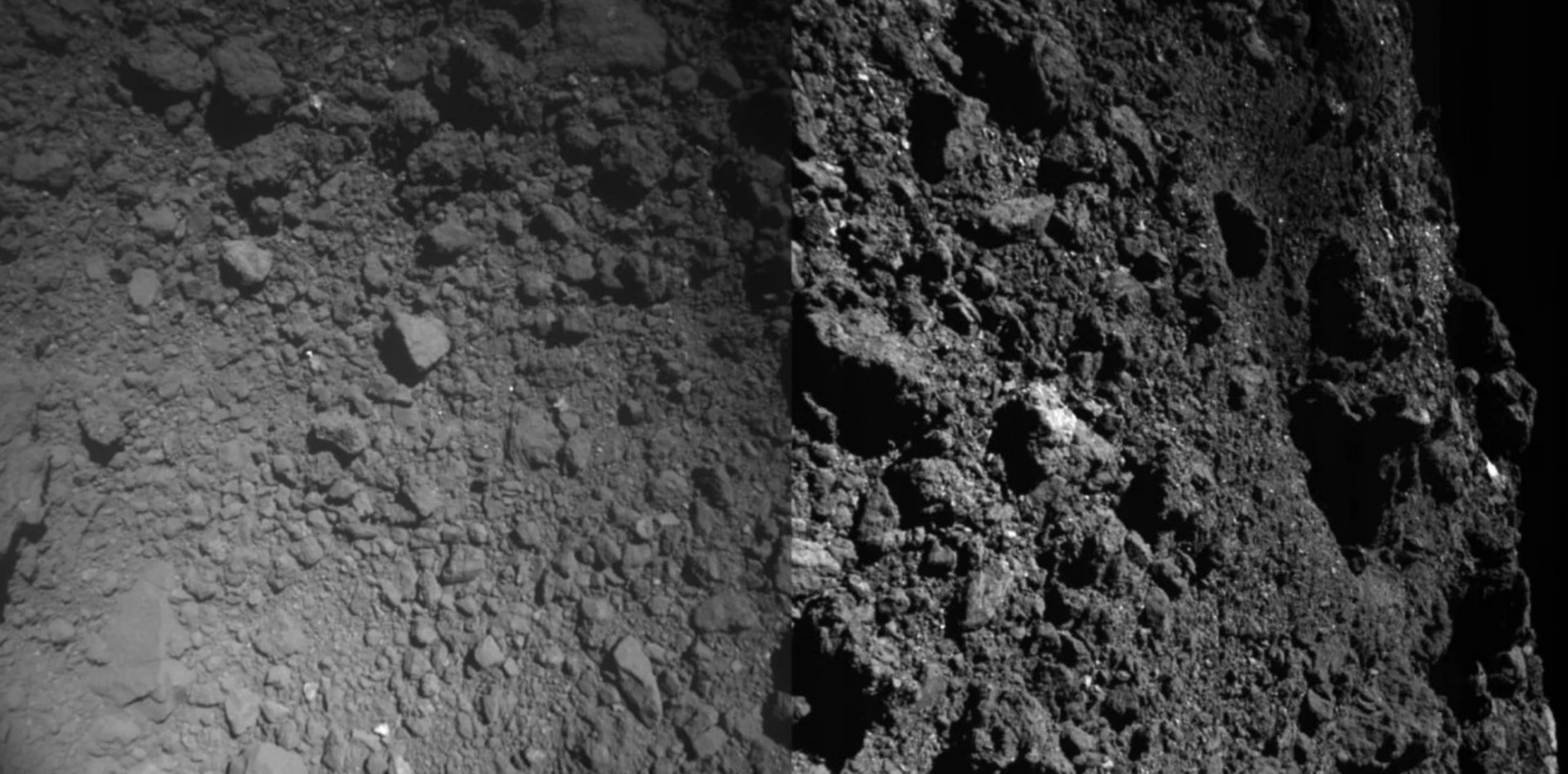 Ryugu: il campione di asteroide è ormai preda dei batteri