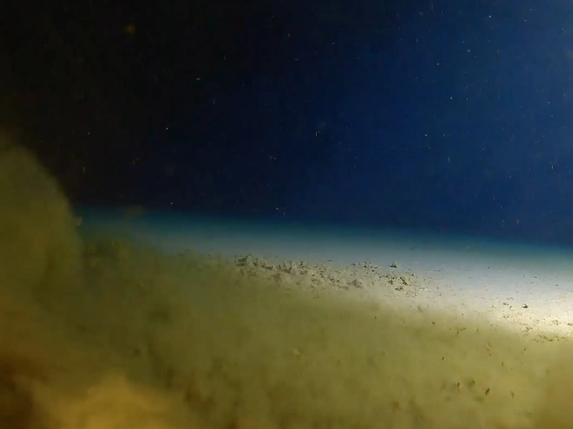 Dallo spazio al punto più profondo degli abissi la storia di Kathy Sullivan