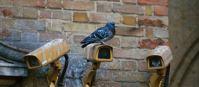 Videocamere di (in)sicurezza: possono dire al ladro se qualcuno è in casa