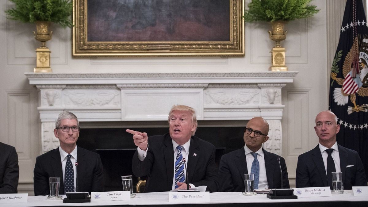 Trump ha un nuovo bersaglio: unalta dirigente Microsoft. Ecco perché