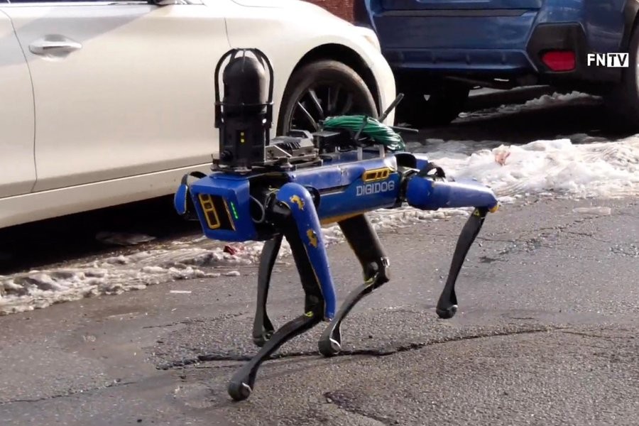 Cane robot per le truppe americane 