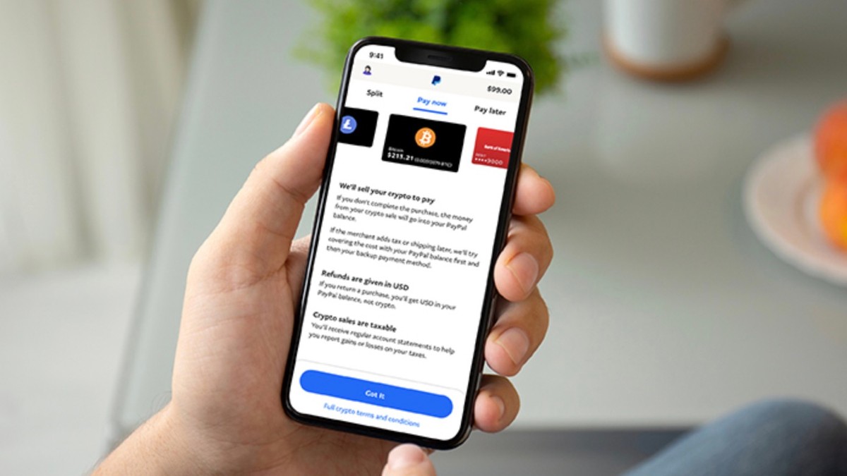 PayPal accelera sulle criptovalute: utenti USA possono usarle per i  pagamenti - HDblog.it