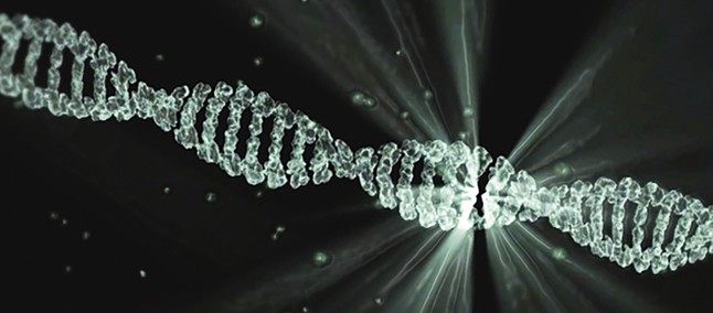 DNA usato come hard disk più piccolo al mondo, ora anche velocissimo